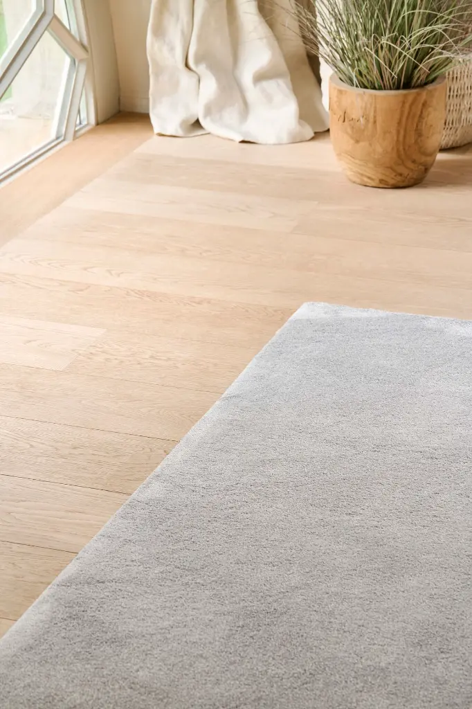 GINOCCHIO roomshot 02_hr.webp