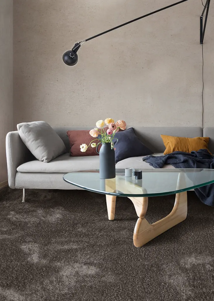 PIZZO roomshot_hr.webp