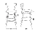 Colico Brera SS H65 .webp