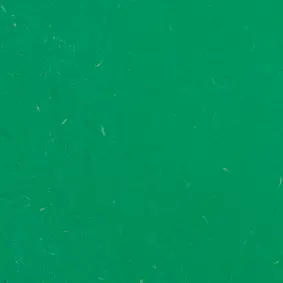 Green mint Valchromat.webp