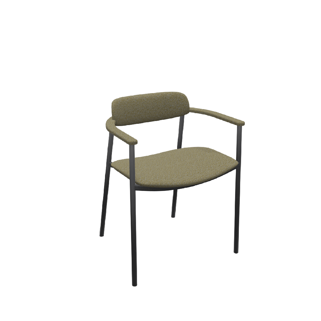 Perfecta Casis (Epoxy Zwart, V400 Carbon)