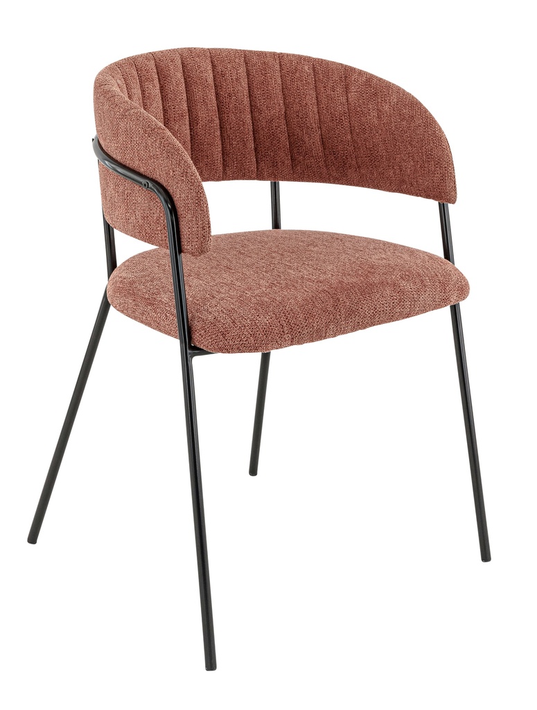 Basic Pro René Terra 59