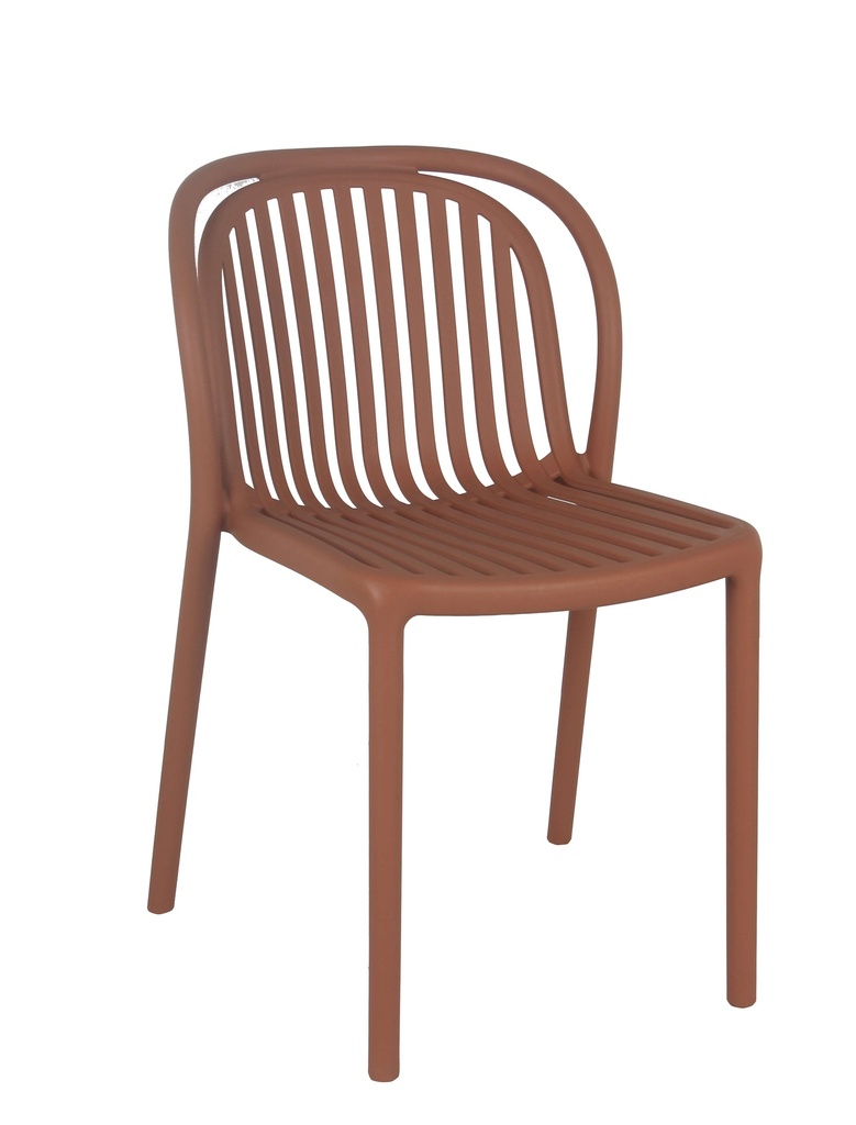 Basic Pro Dubai terra