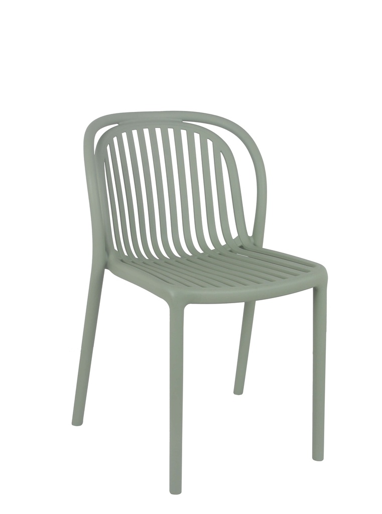 Basic Pro Dubai sage