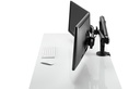 CBS Ollie monitor arm