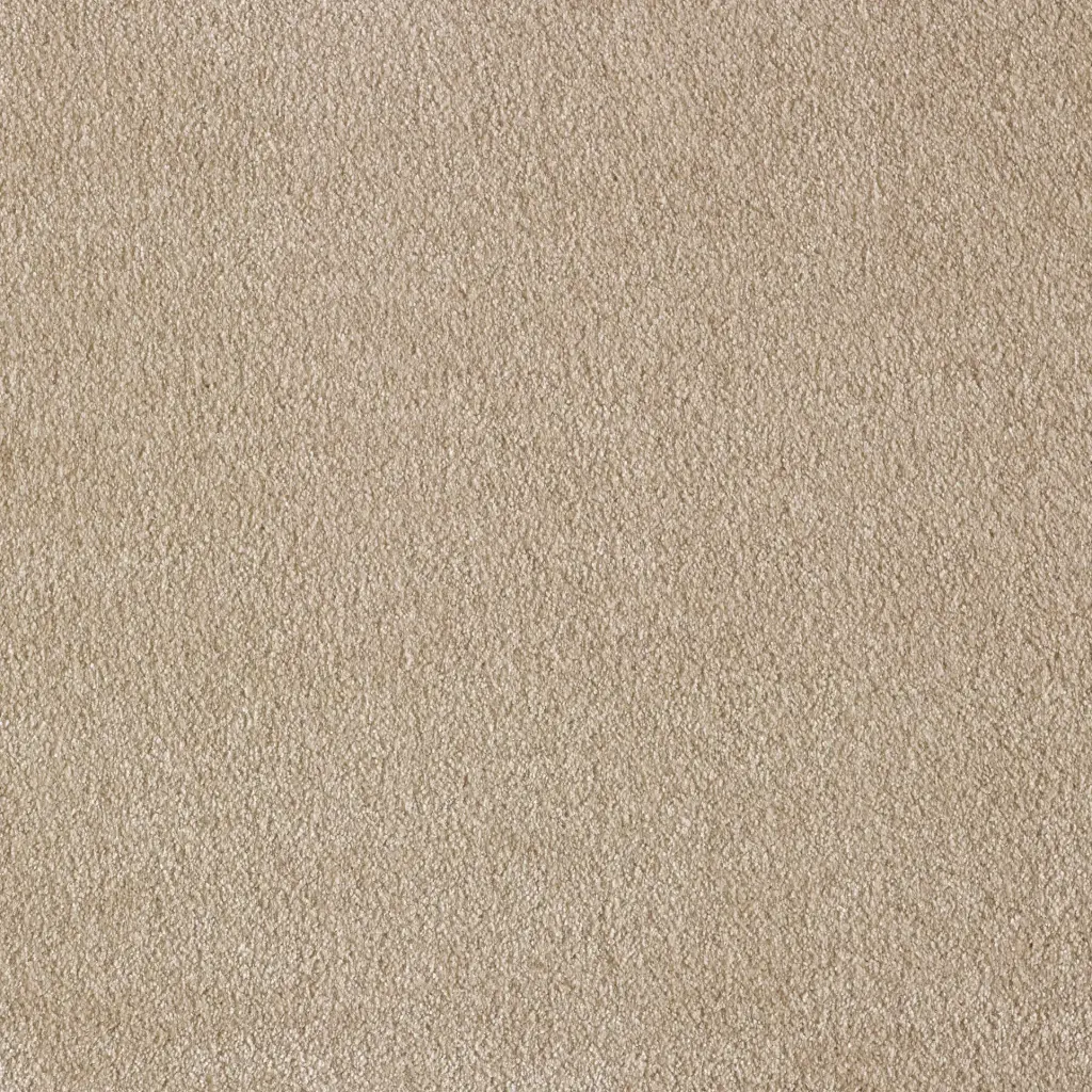 Tapijt Voluto (160x230)