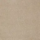 Tapijt Voluto