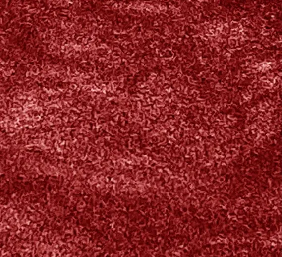 Tapijt Veloura (160x230)