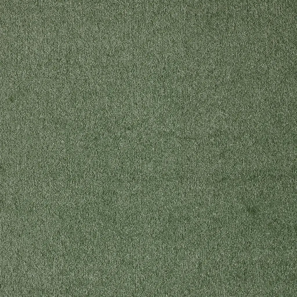 Tapijt Segra (160x230)