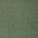Tapijt Segra