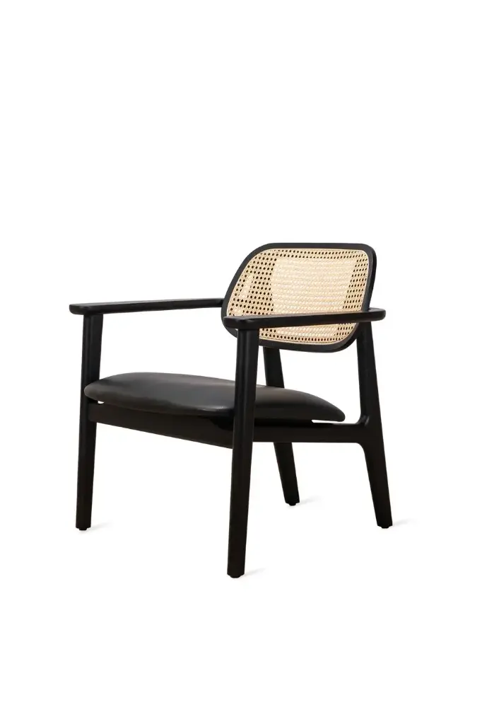 Vincent Sheppard Titus lounge chair Black